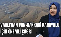 Varlı’dan Van-Hakkari Karayolu İçin Önemli Çağrı
