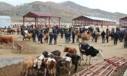 Van'daki Hayvancılık Meclis Gündeminde!