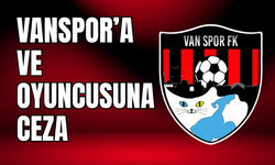 Vanspor’a ve Oyuncusuna PFDK’dan Ceza