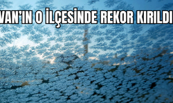 Van’ın Gevaş İlçesi Dondu! Soğuk rekoru kırıldı