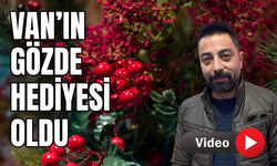 Bir Yıl Boyu Şans ve Dilek İçin Vanlılar Kokina’ya Akın Ediyor