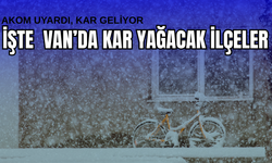 Van’ın 13 ilçesi için uyarı verildi! Kar geliyor!