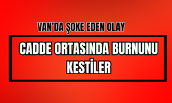 Van’da Şoke Eden Olay: Kavgayı Ayırmak İsteyen Kızın Burnunu Kesti!
