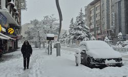 Van’da Soğuk Hava Haftaya Etkili Olacak, Tedbirler Alınmalı