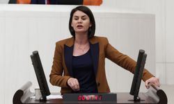 DEM Parti Van Milletvekili Gülcan Kaçmaz Sayyiğit’ten İmza Çağrısı