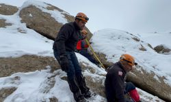 Van’da Kayalıklara Sıkışan Köpek İçin AFAD Seferber Oldu
