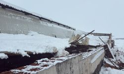 Diyarbakır’da Ahır Çöktü: 11 Büyükbaş Hayvan Telef Oldu!