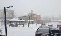Van Başkale’de Kar Yağışı Yeniden Başladı: İlçe Beyaza Büründü