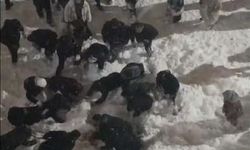 KYK Yurdunda Çatıdan Düşen Kar Kütlesi İki Öğrenciyi Yaraladı