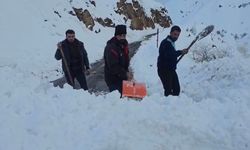 Yola düşen çığı vatandaşlar küreklerle kaldırdı