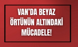 Van’da Yaban Hayvanları İçin Doğaya Yem Bırakıldı!