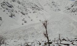 Hakkari’de 150 Keçi Telef Oldu!