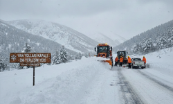Van’da karla mücadele sürüyor: 296 yerleşim yerinin yolu kapalı