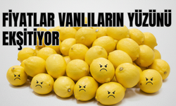 Limon fiyatları Vanlıların yüzünü ekşitiyor