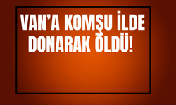 Yüksekova’da Sibirya Soğukları: Tilki Ayakta Donarak Telef Oldu