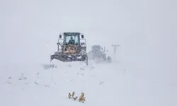 Bahçesaray-Hizan Yolu Ulaşıma Açıldı!