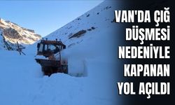Van'da Çığ Düşmesi Nedeniyle Kapanan Yol Açıldı