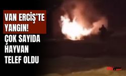 Van Erciş’te Yangın! Çok Sayıda Hayvan Telef Oldu