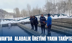 Van’da Zorlu Kış Şartlarında Alabalık Üretimi Yakın Takipte