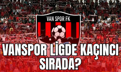 Vanspor'un ligdeki durumu nasıl, ligde kaçıncı sırada?