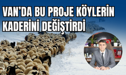 Van’da Köyler Canlandı, Sürüler Çoğaldı