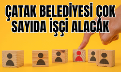 Çatak Belediyesi 10 daimi temizlik işçisi alacak