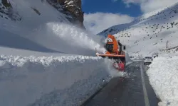 Van Çatak'ta Eğitime Ara Verildi!