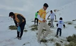 Süphan Dağı’nda Yaban Hayvanları İçin Anlamlı Destek!