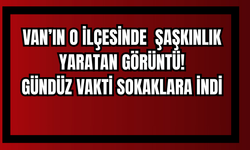 Erciş Keklikova Mahallesi’nde Gündüz Ayı Görüntülendi!