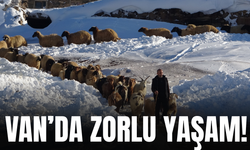 Van’da Besicilerin Zorlu Kış Mesaisi!