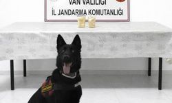 Van’da Uyuşturucu Operasyonu