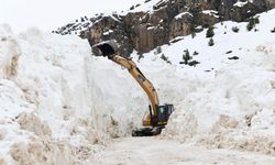 Çatak’ta Çığ Sonrası Ulaşıma Kapanan Yol Yeniden Açıldı