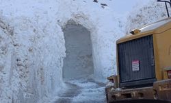 Van’da Çığ Engelini Kar Tüneli Aştı!