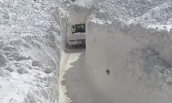 Çığ Başkale'nin Sualtı Mahallesi’ni Esir Aldı: Yol 3 Noktadan Kapandı