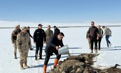 Özalp’te Yaban Hayvanları İçin Doğaya Yem Bırakıldı