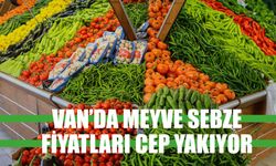 Van’da Meyve Sebze Fiyatları Cep Yakıyor