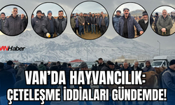 Van’da Hayvancılık: Küpe Karaborsaya Düştü