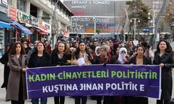 Van’dan Türkiye’ye Kadın Cinayetlerine Artık Dur Denilsin!