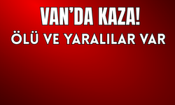 Van’ın Gevaş İlçesinde Kaza: Ölü ve Yaralılar Var!