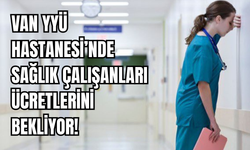 Van YYÜ Hastanesi’nde Sağlık Çalışanları Ücretlerini Bekliyor!