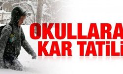 Van’ın Muradiye ilçesinde okullar tatil edildi! 9 Şubat 2026