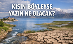 Van’da Su Yönetimi Tartışması: Kış Ortasında Kesinti, Yazın Ne Olacak?