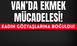 Van’da Günübirlik Çalışan Kadının Geçim Mücadelesi: “Bırakın Çalışayım”