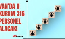 Erciş İlçe Milli Eğitim Müdürlüğü 316 Personel Alacak!