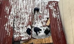 Hakkari’de Kar Tehlikesi: Bina Girişi Çöktü