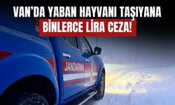 Van Erciş’te Kınalı Keklik Taşıyan Sürücüye 85 Bin TL Ceza
