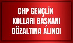 CHP Erzincan Gençlik Kolları Başkanı Gözaltına Alındı