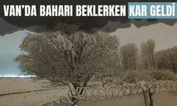 Van’da Baharı Beklerken Kar Geldi