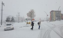 Van'ın Başkale ilçesinde yoğun kar yağışı