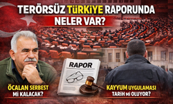 Terörsüz Türkiye Raporunda Neler Var? Öcalan Serbest mi Kalacak? Kayyum Uygulaması Tarih mi Oluyor? İşte Ayrıntılar...